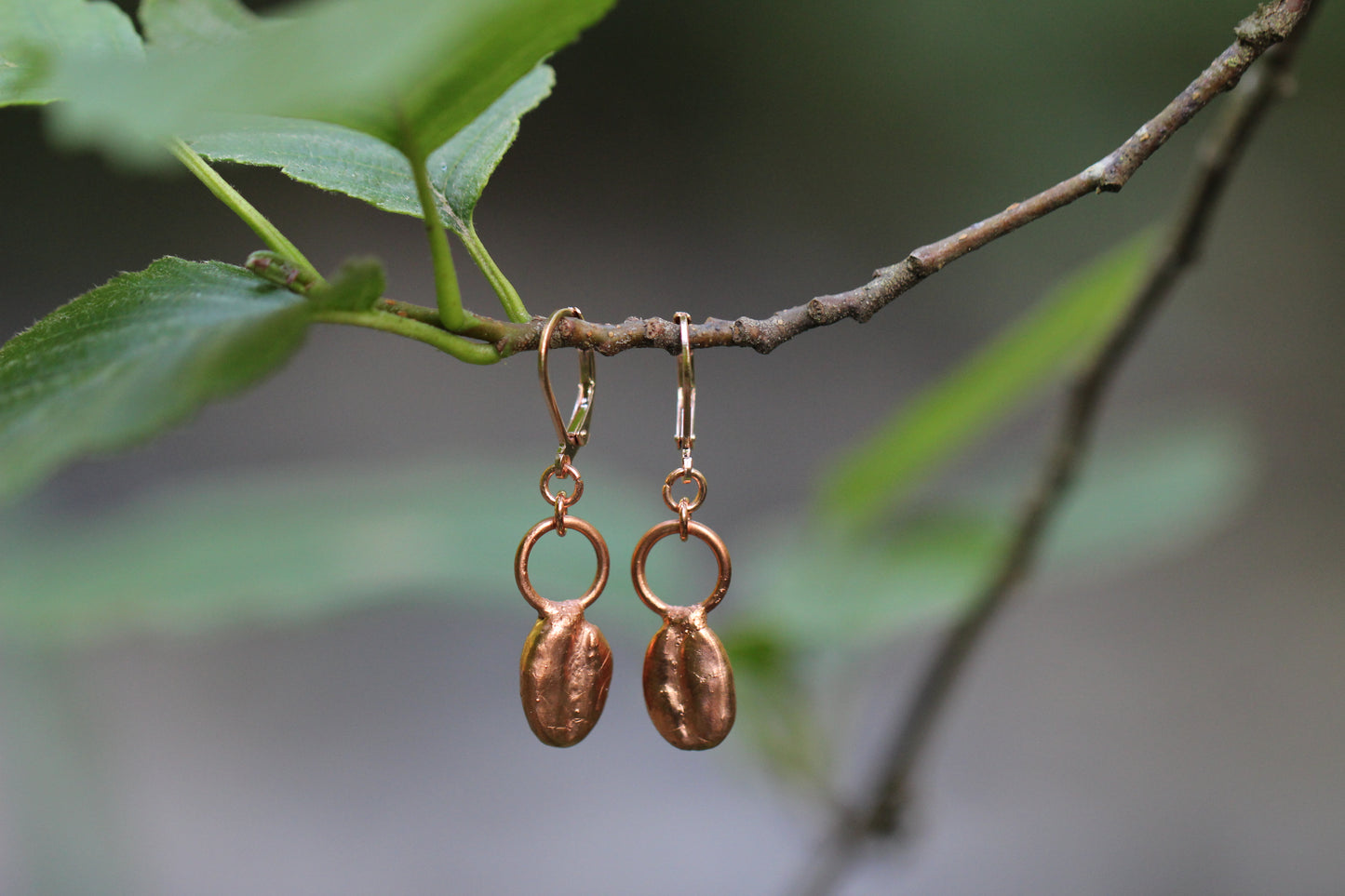 Copper electroplated Coffee Bean earrings