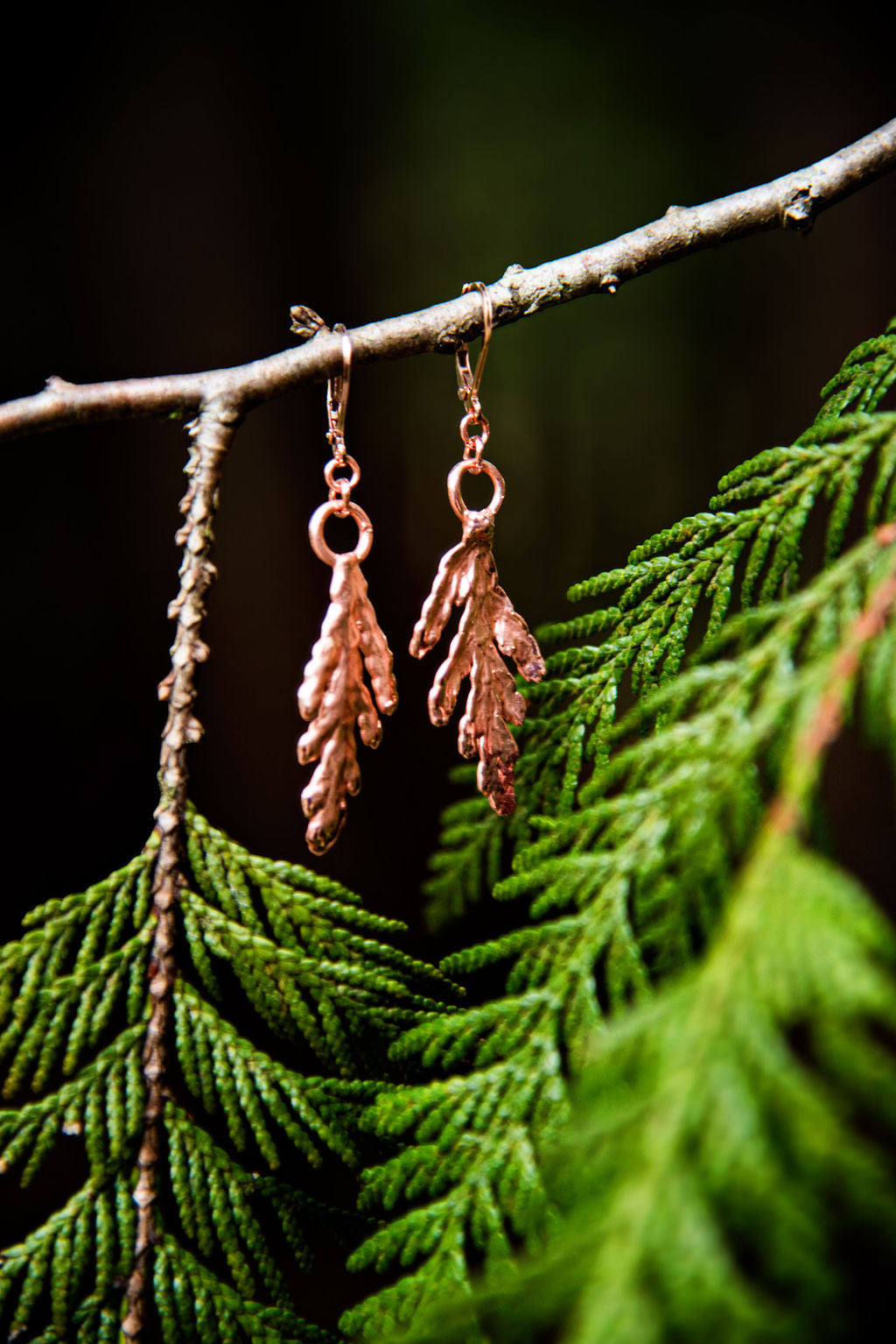 Copper electroplated Redwood Cedar earrings