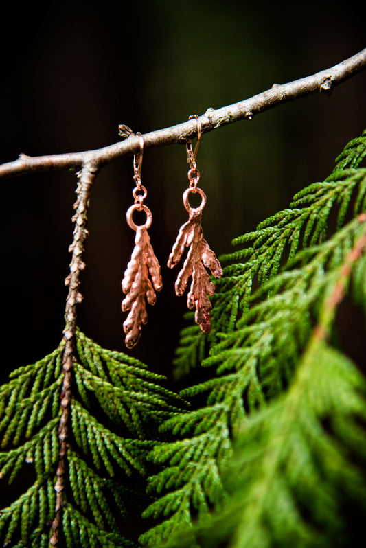 Copper electroplated Redwood Cedar earrings