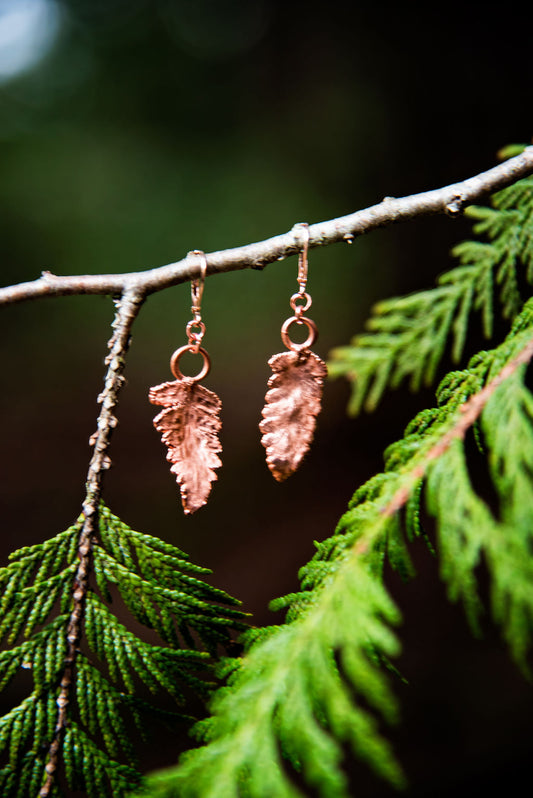 Copper electroplated Bracken Fern earrings