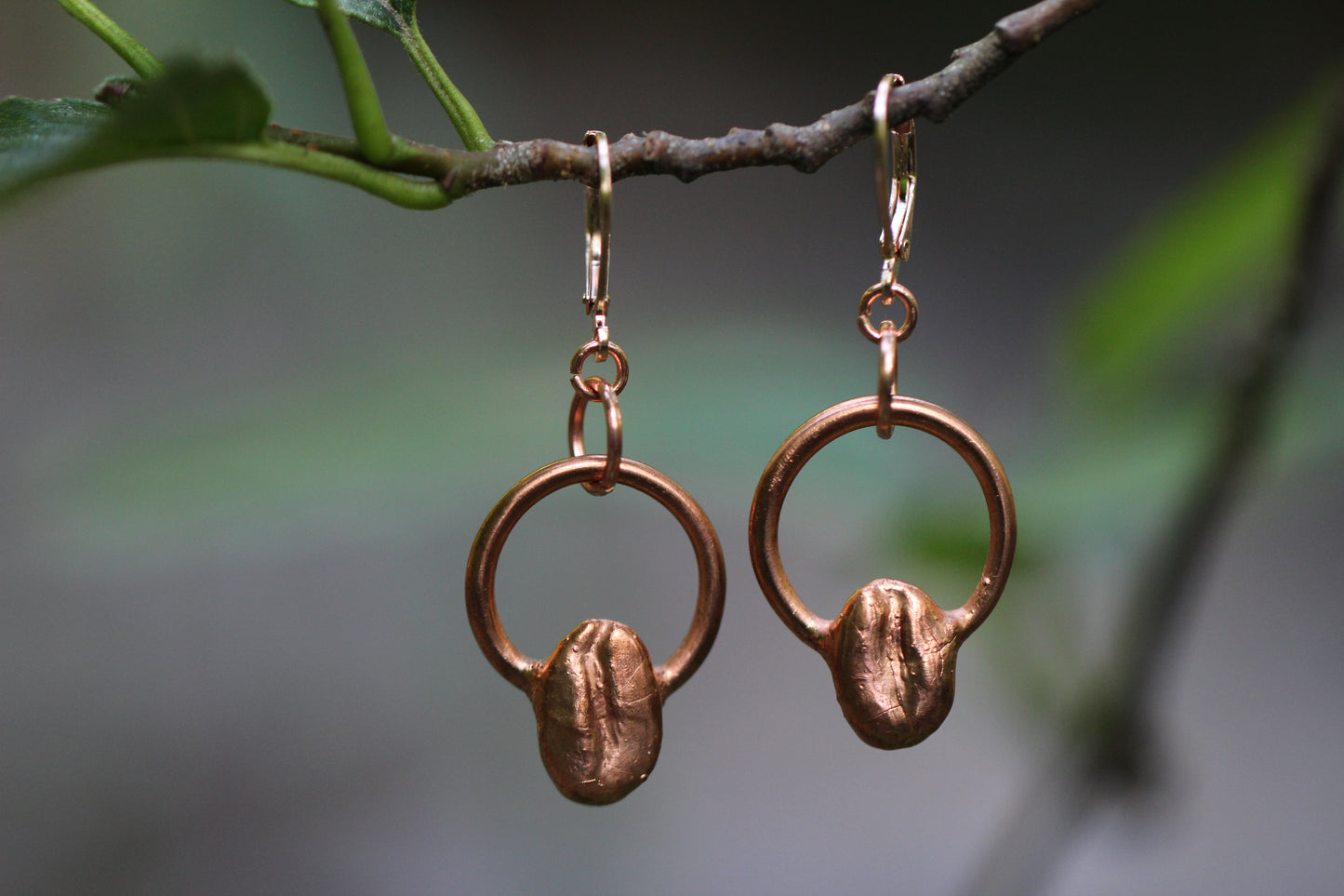 Copper electroplated Coffee Bean earrings with hoop