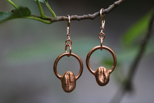 Copper electroplated Coffee Bean earrings with hoop